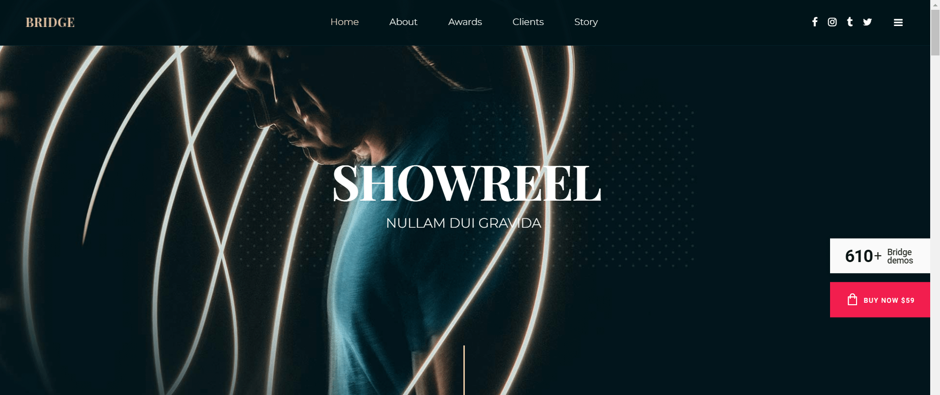 Showreel - Video Creation