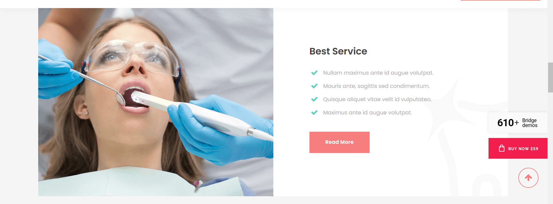Dental - dentistry