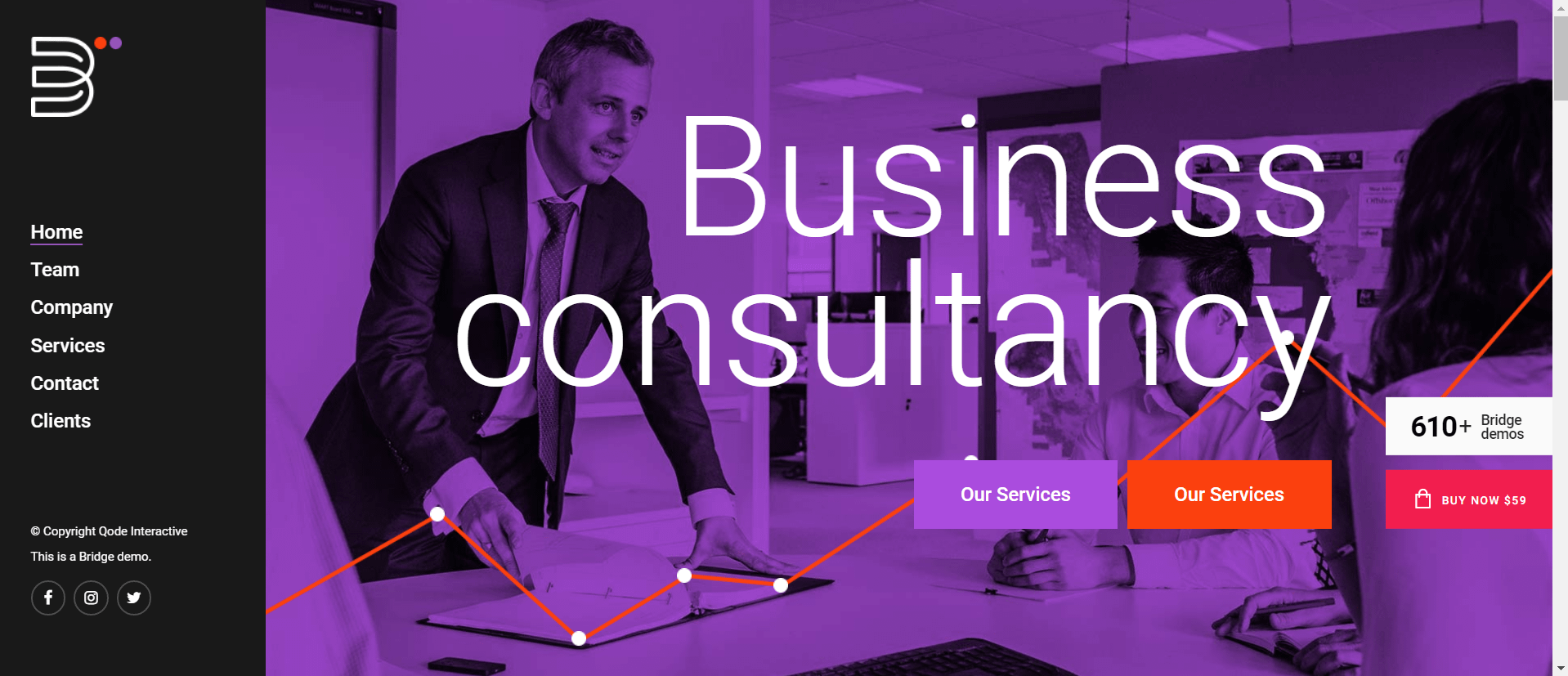 2. Business Consultancy - One Page site | business consultant